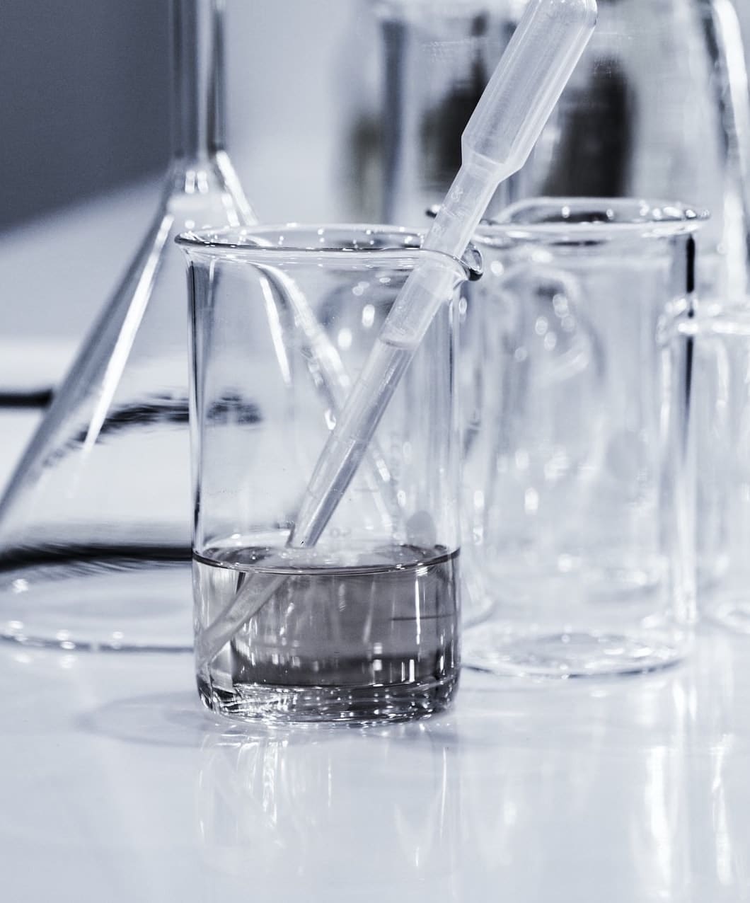 Cosmetic formula - review of the ingredients